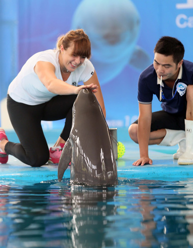 国内赛场一 国内赛场一